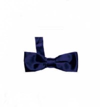 BT020 custom British men's bow tie supply bridegroom best man wedding ceremony suit bow tie production formal shirt bow tie manufacturer detail view-19